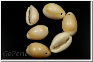 Cowry Shell, 10-16x10-11x3-5mm, 10 Stk.