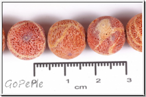 Schaumkoralle, rund, unpoliert, ca. 12,5 mm, Strang