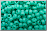 RR-11-0412f, MIYUKI Rocailles, 11/0, turquoise, op., matte, 10g