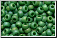 RR-08-4699, MIYUKI Rocailles, 08/0, green, op., glaze, matte, AB, 10g