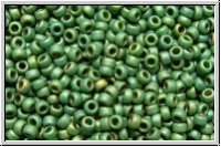 RR-15-2031, MIYUKI Rocailles, 15/0, green, sage, met., matte, luster, 5g