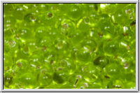 DP-0014, MIYUKI Tropfen, 3,4mm, green, lime, trans., silver-ld., 10g