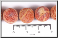 Schaumkoralle, rund, unpoliert, ca. 12,5 mm, Strang